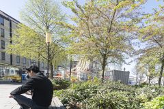 Det blommar fint i Brunnsparken och folk njuter av solen. Konstruktionen på cafét syns i bakgrunden.