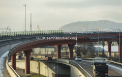 Röde orm år 2017