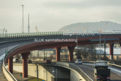 Röde orm år 2017