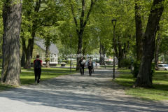 Jönköping stadspark år 2017
