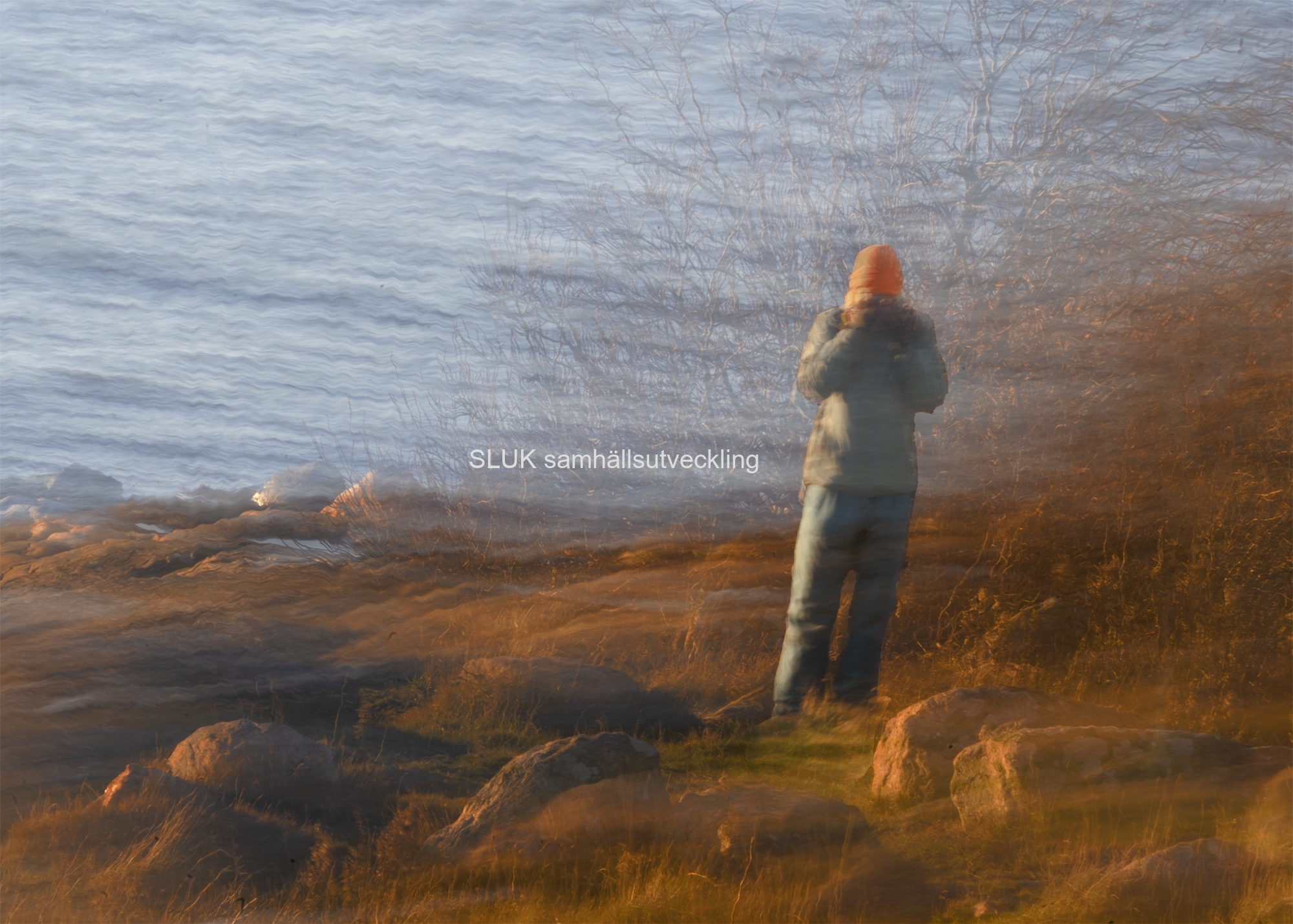 Fotograf i blåsigt väder,  Sillvik