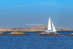 Segling i Hunnebostrand