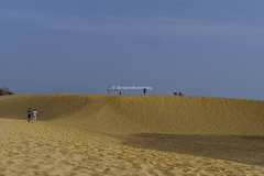 Desert_3