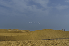 Desert_2