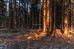 Solnedgang