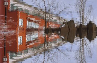Reflex