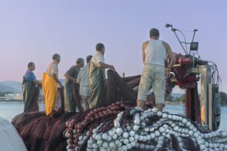 Fishermen haul in nets